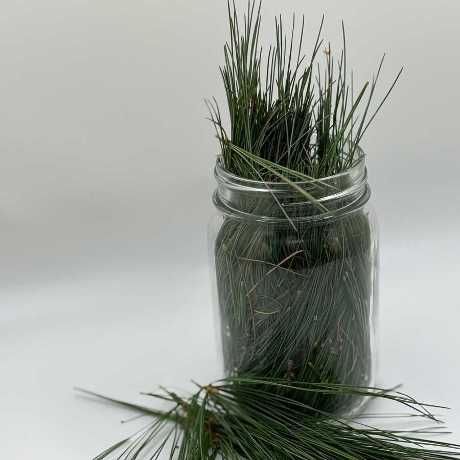 Infused Oils: Methods, Botanicals & Carrier Oils