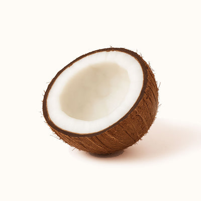 Half-cut coconut on a white background